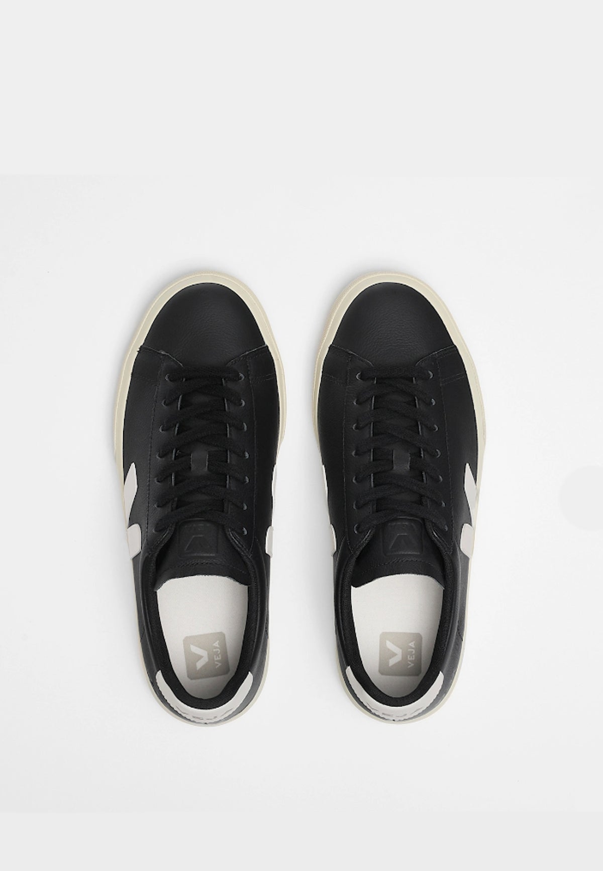 SNEAKERS CAMPO